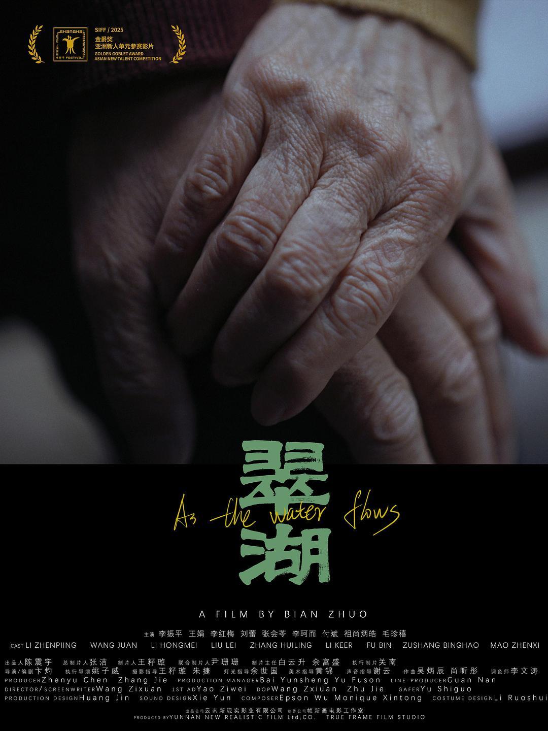 《翠湖》海报