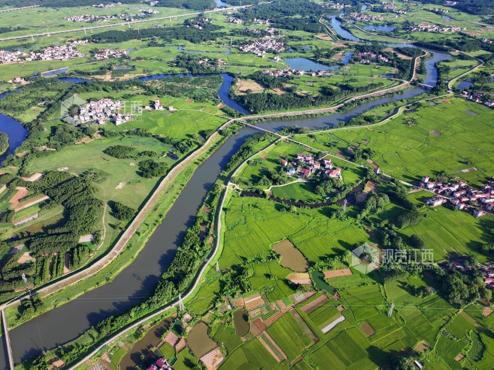 6月17日，江西省吉安市泰和县塘洲镇上洲村，夏日田园如画。