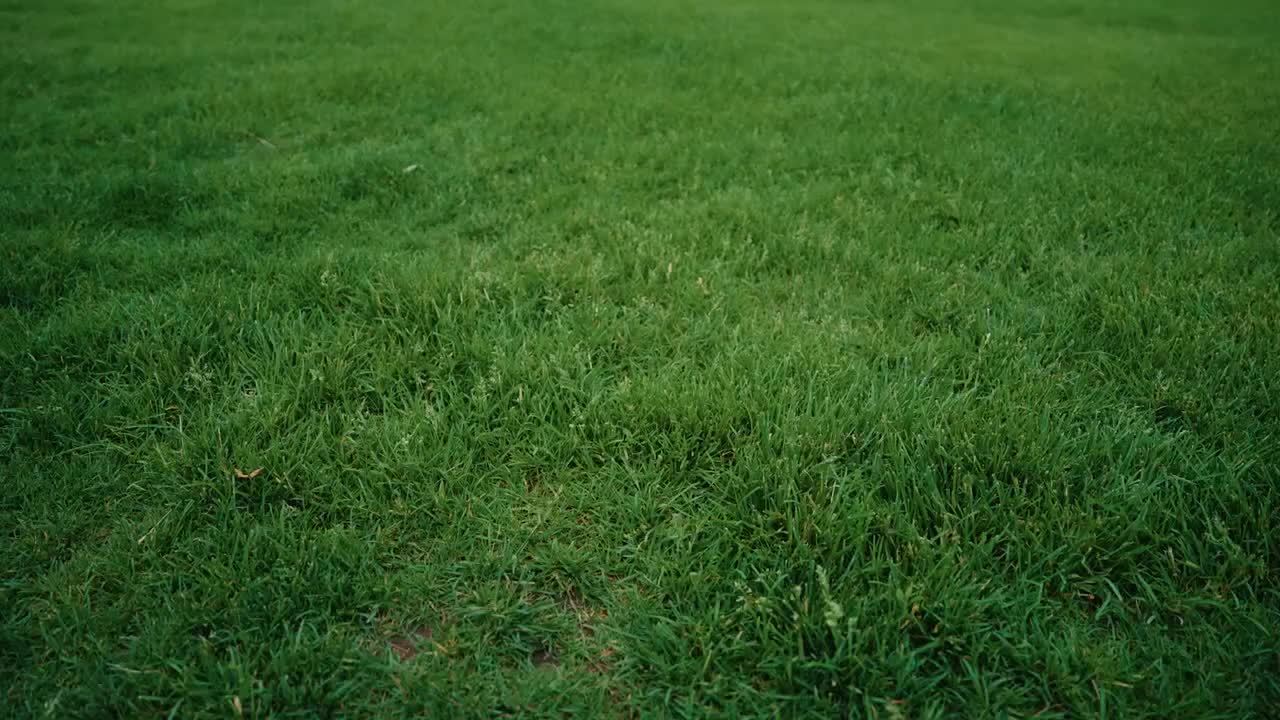 当清华校训碑的光影与百年家书的墨迹重叠，梁启超家族的君子精神便有了具象模样。他以 300 封家书为舟，载着 “自强不息，厚德载物” 的箴言穿越世纪：握幼子小手写下 “老白鼻” 的温情里，藏着家风的柔软