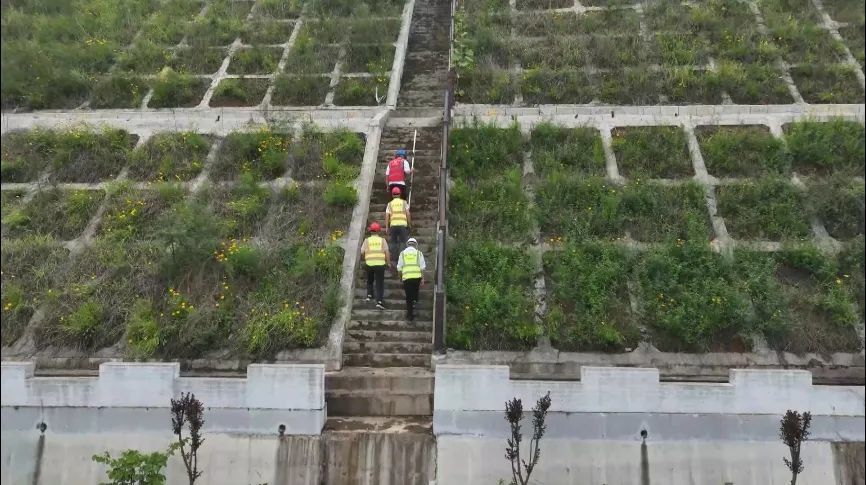 遂大高速即将通车！是“会呼吸的绿色长廊”