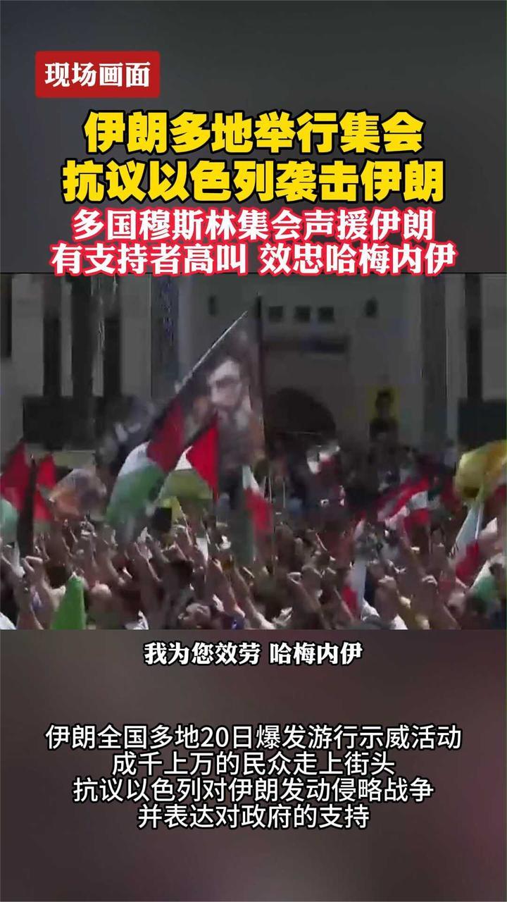 多国穆斯林集会声援伊朗，有支持者高叫效忠哈梅内伊