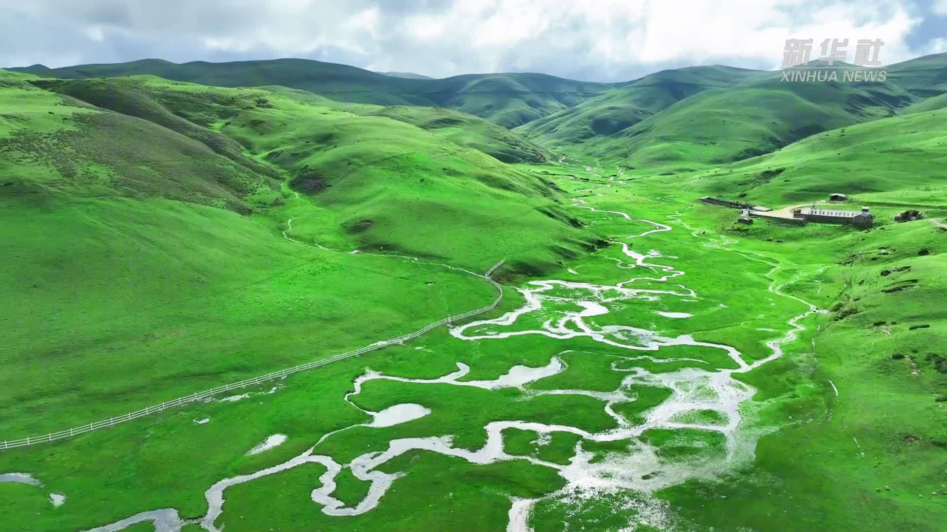 清凉一夏｜会泽大海草山：草浪翻涌夏日诗行