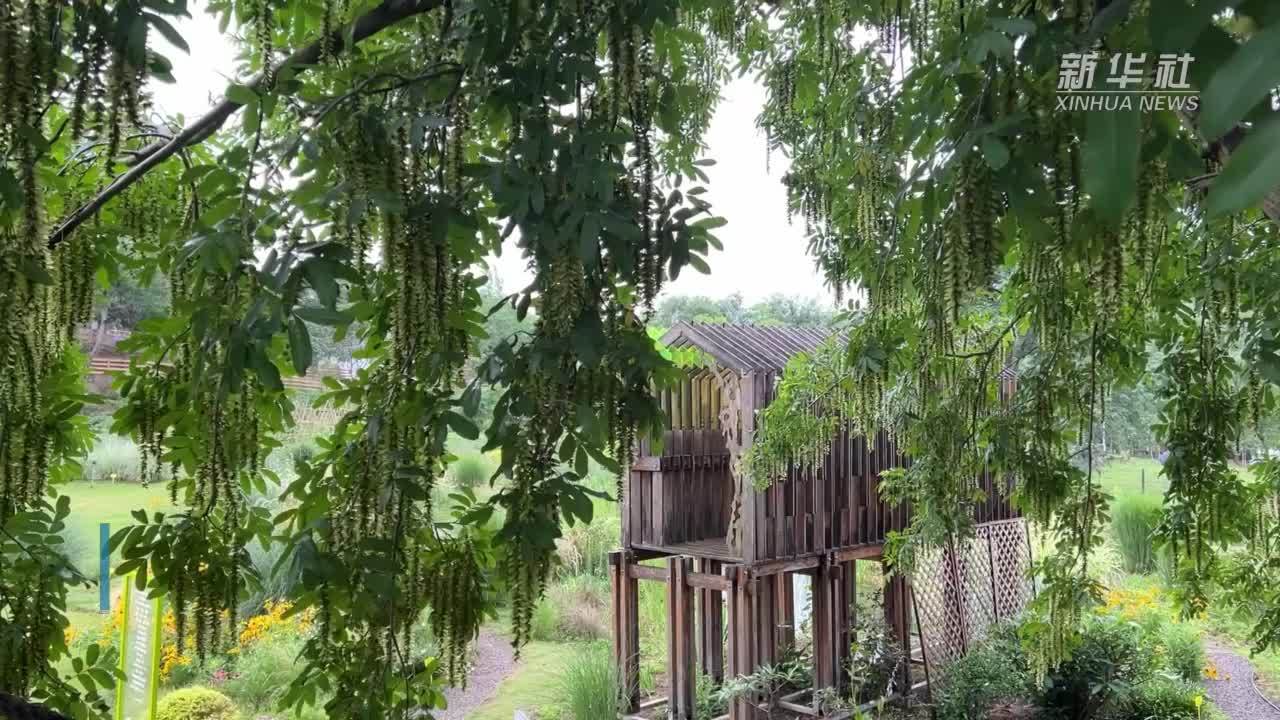 感受经济大省“硬实力”！“外媒看中国”走进江苏浙江