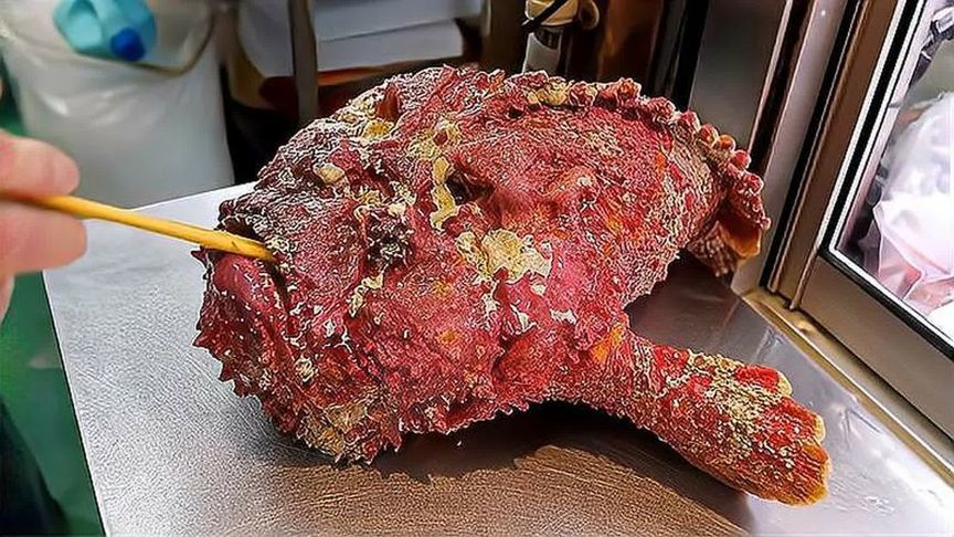 国外宰杀剧毒老虎鱼，这种鱼长得奇丑无比，但是肉质异常鲜美