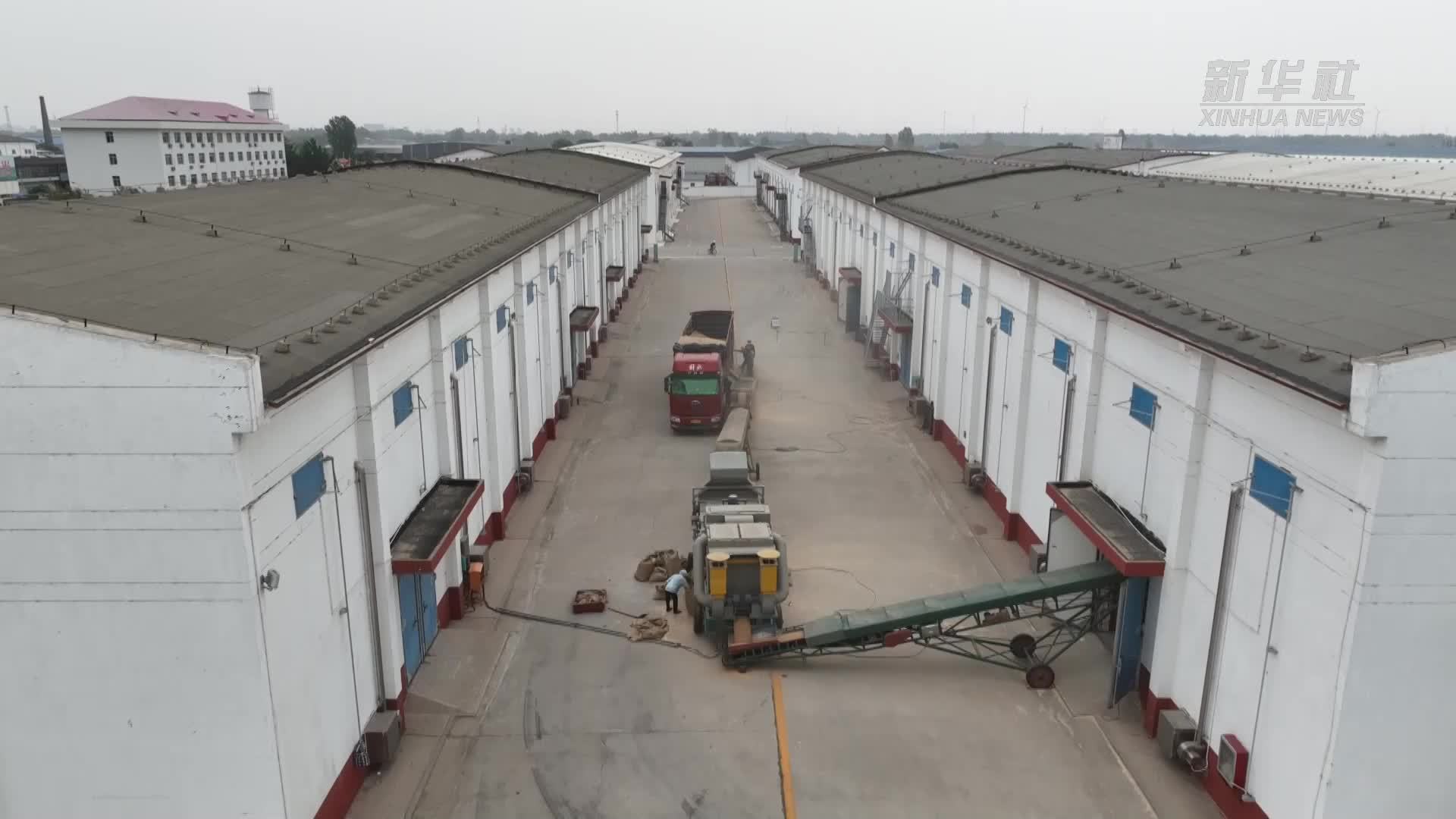 仓储减损 小麦存储5年如新粮