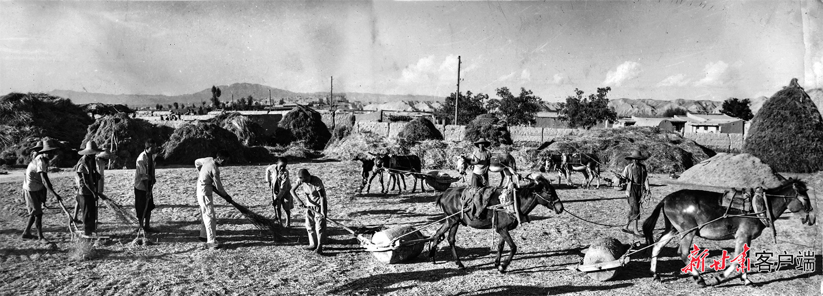 AI复活老照片　60年前陇原夏日“丰”景有多美
