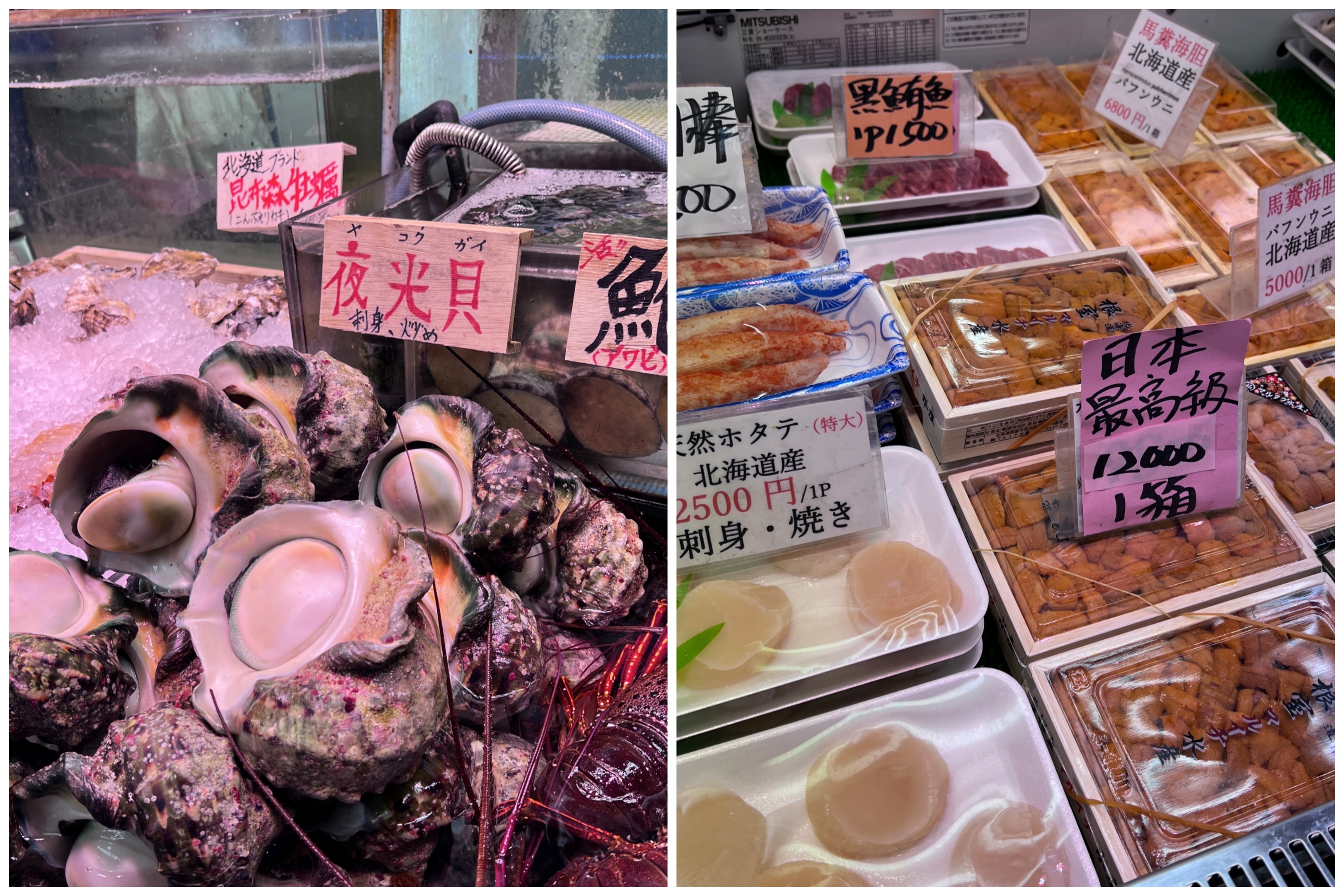 漫游纪｜六天五晚香港冲绳往返，“鼓浪屿”号邮轮深度体验