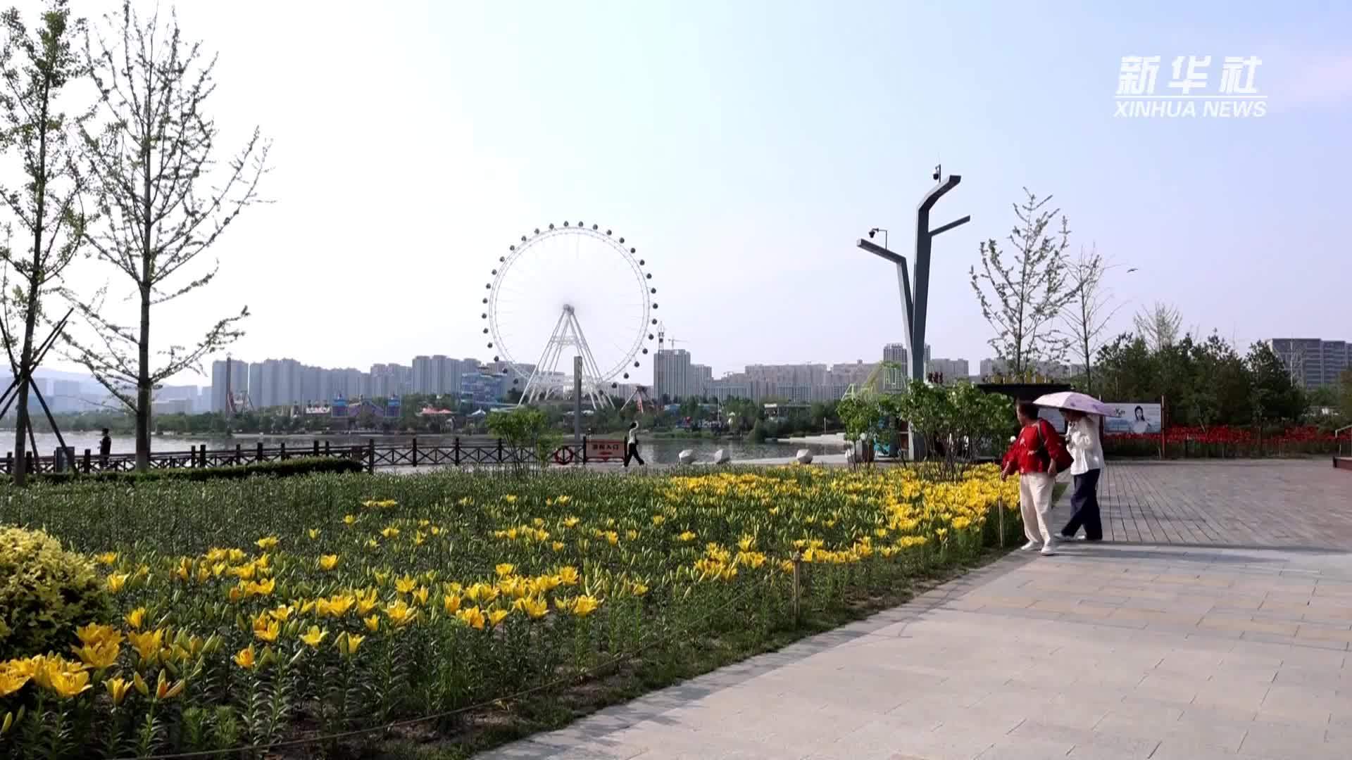 山西太原：百合花开惹人醉