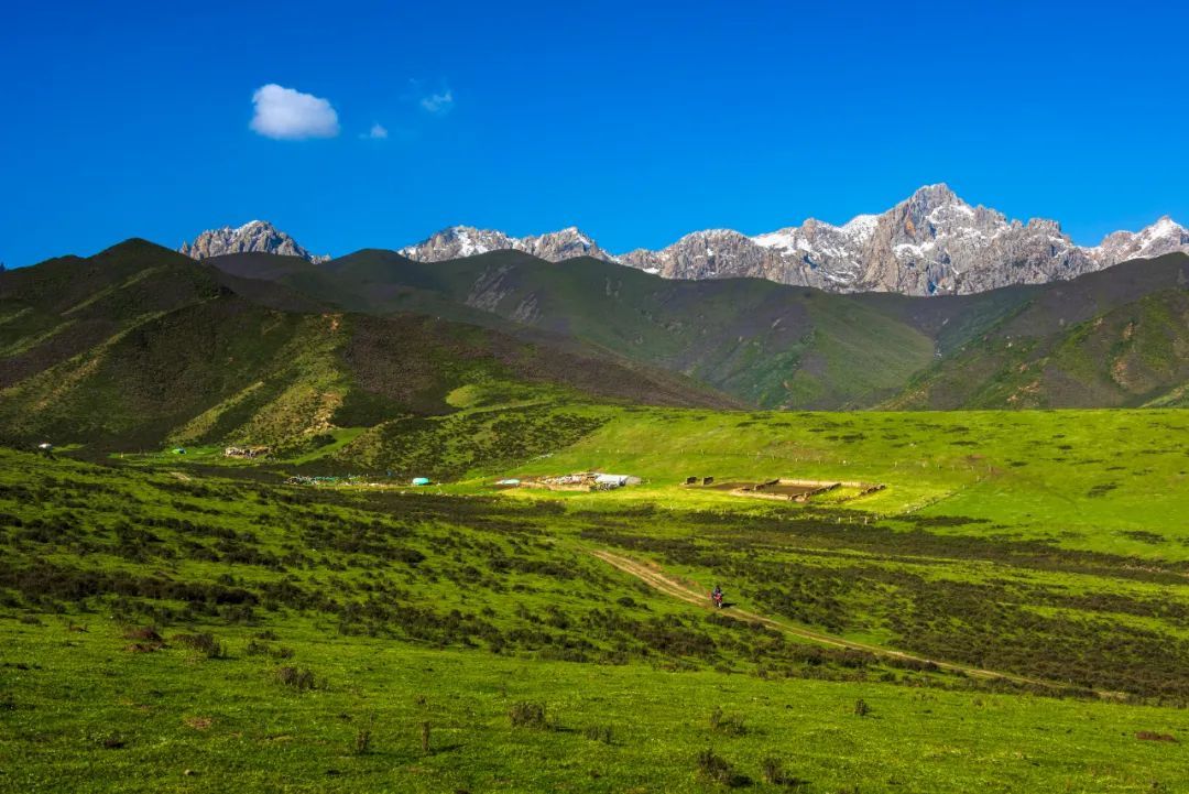 祁连山下的清凉秘境 避暑拍照两不误