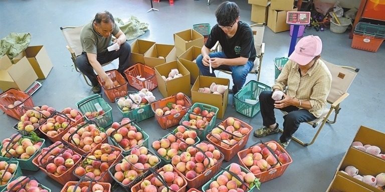 抢“鲜”上市(图)凤凰网江西_凤凰网