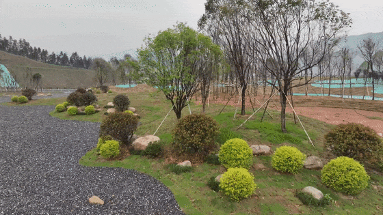 遂大高速即将通车！是“会呼吸的绿色长廊”