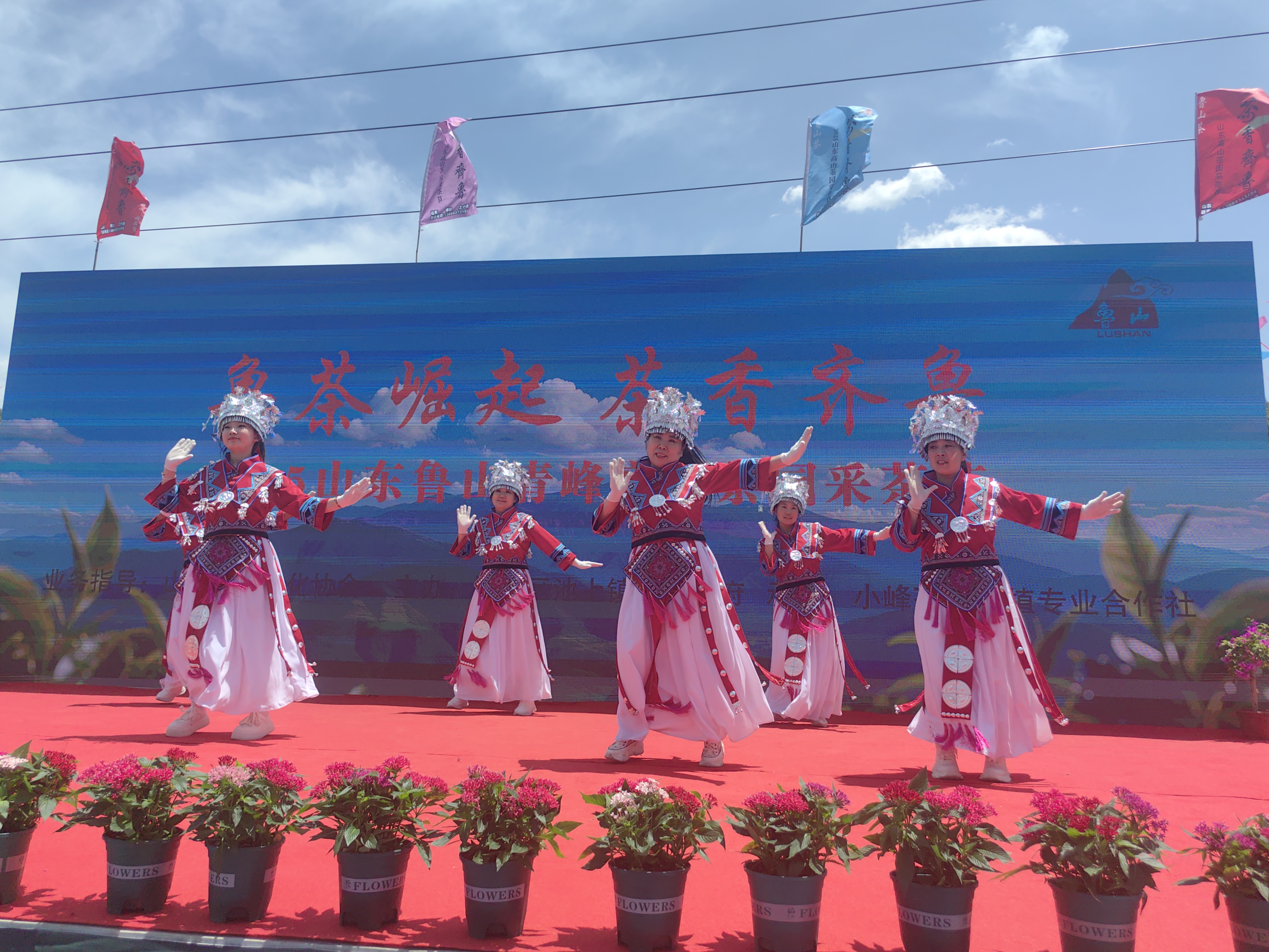 2025山东鲁山青峰高山采茶节暨高端品牌发布会圆满举行