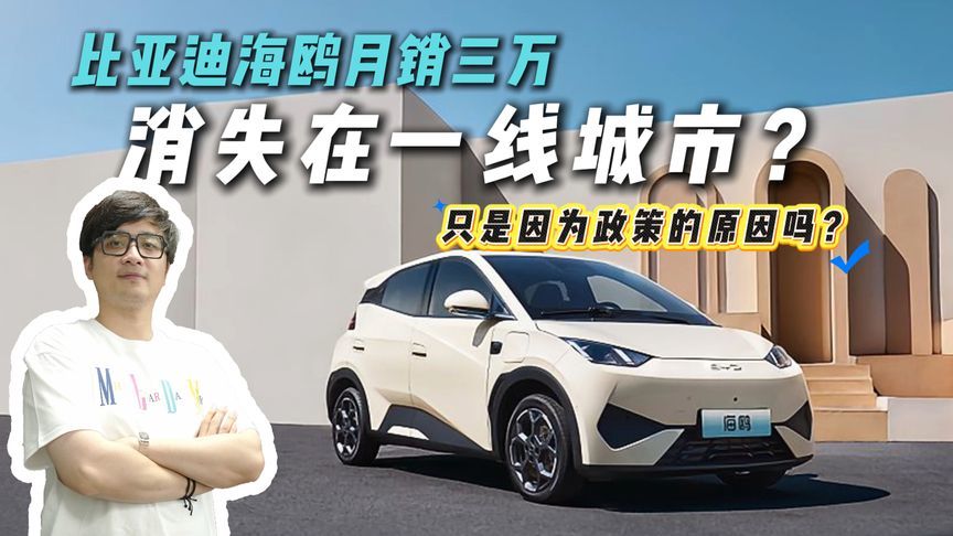 销量前三的比亚迪海鸥，一线城市却见不到，为何？