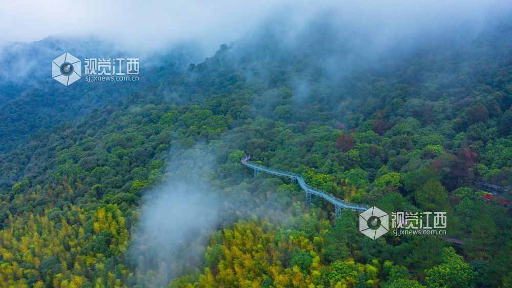丫山（來源：視覺江西）