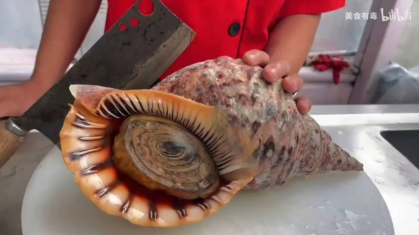 外国人杀巨型海螺现场，烹饪手法堪称奇葩，真是让人大开眼界