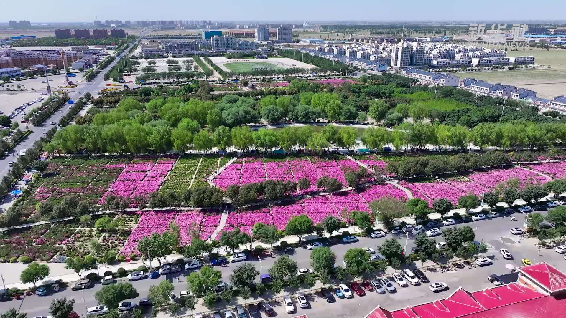 千城胜景｜小城花开绽新颜