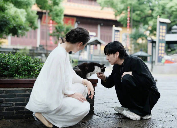 林依轮与妻子一起与小猫咪互动。