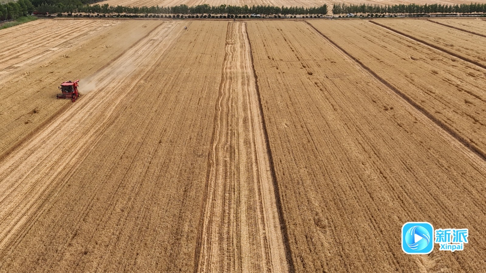 微信图片_20250619193852