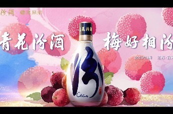闫文杰：杨梅酒如何喝才能健康