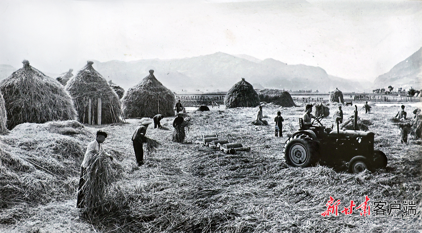 AI复活老照片　60年前陇原夏日“丰”景有多美