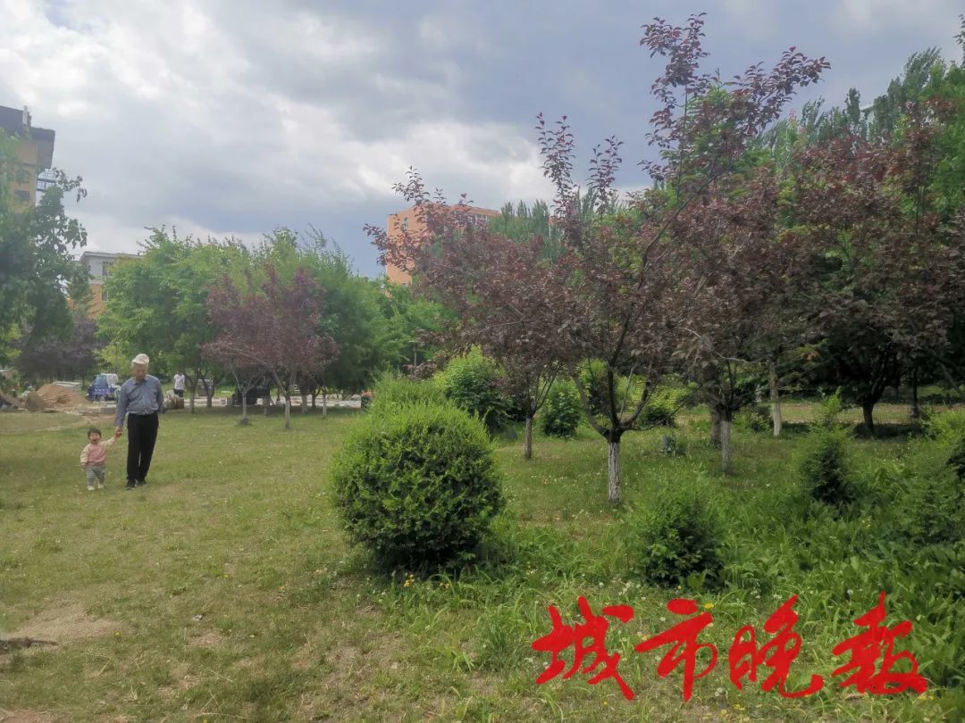 自由园 本组图片 城市晚报全媒体记者 吕闯 摄