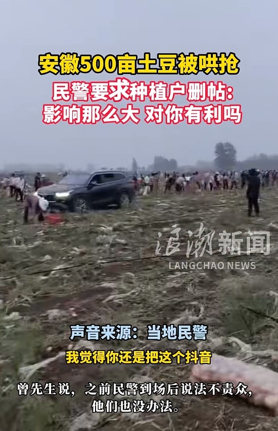 宿州埇桥500亩土豆被哄抢，民警要求种植户删帖！