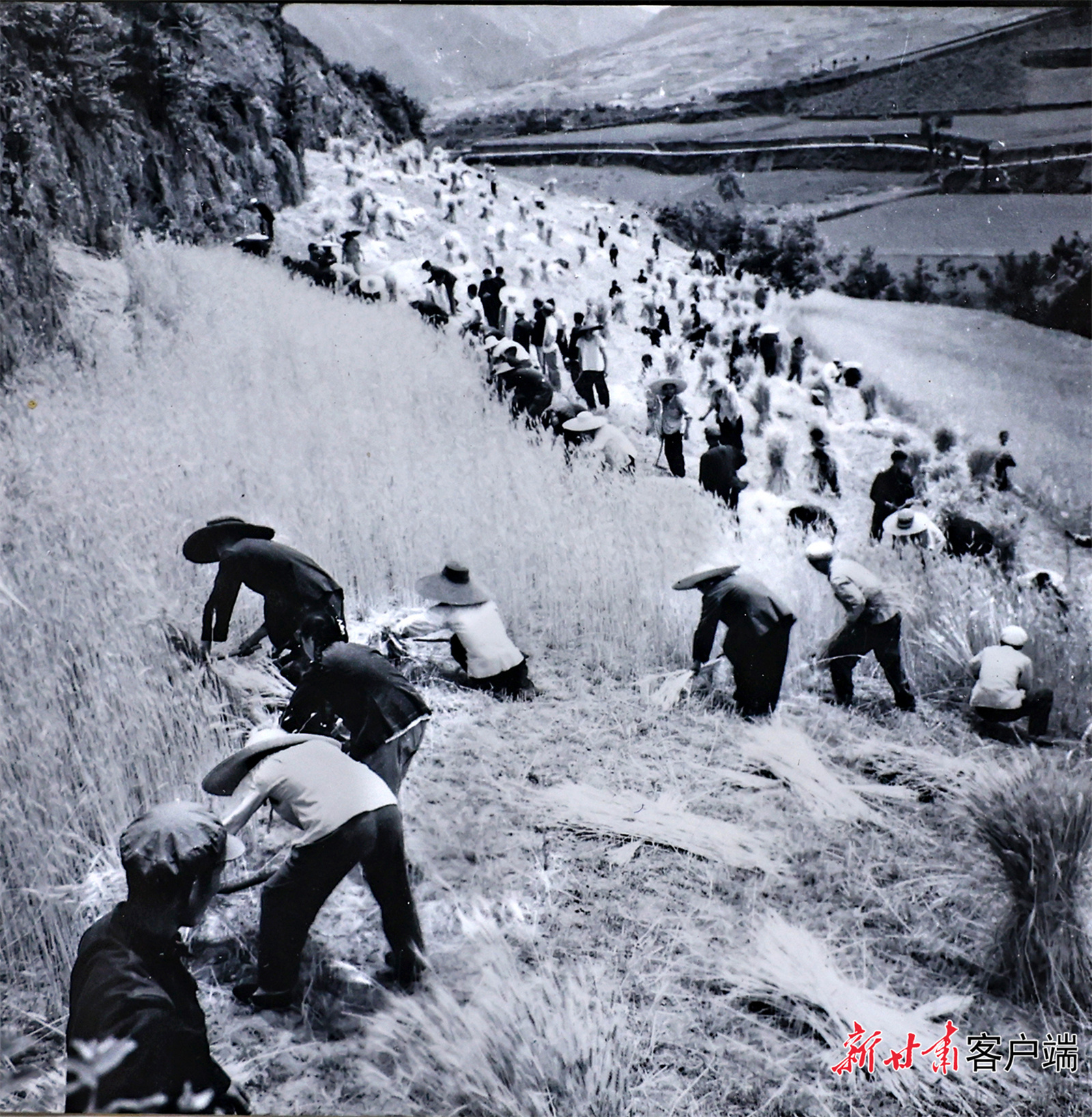 AI复活老照片　60年前陇原夏日“丰”景有多美