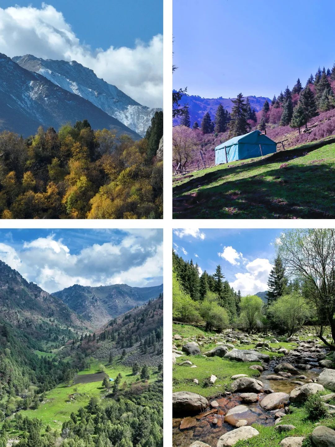 图源:祁连山冰沟河景区