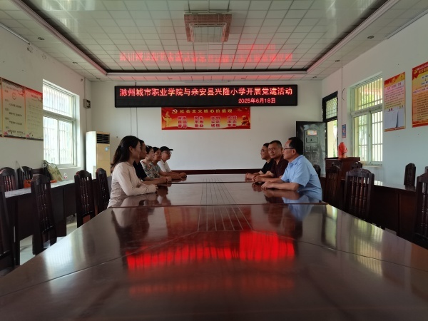 党建引领 为偏远农村小学注活力——滁州城市职业学院与来安县兴隆小学开展党建活动