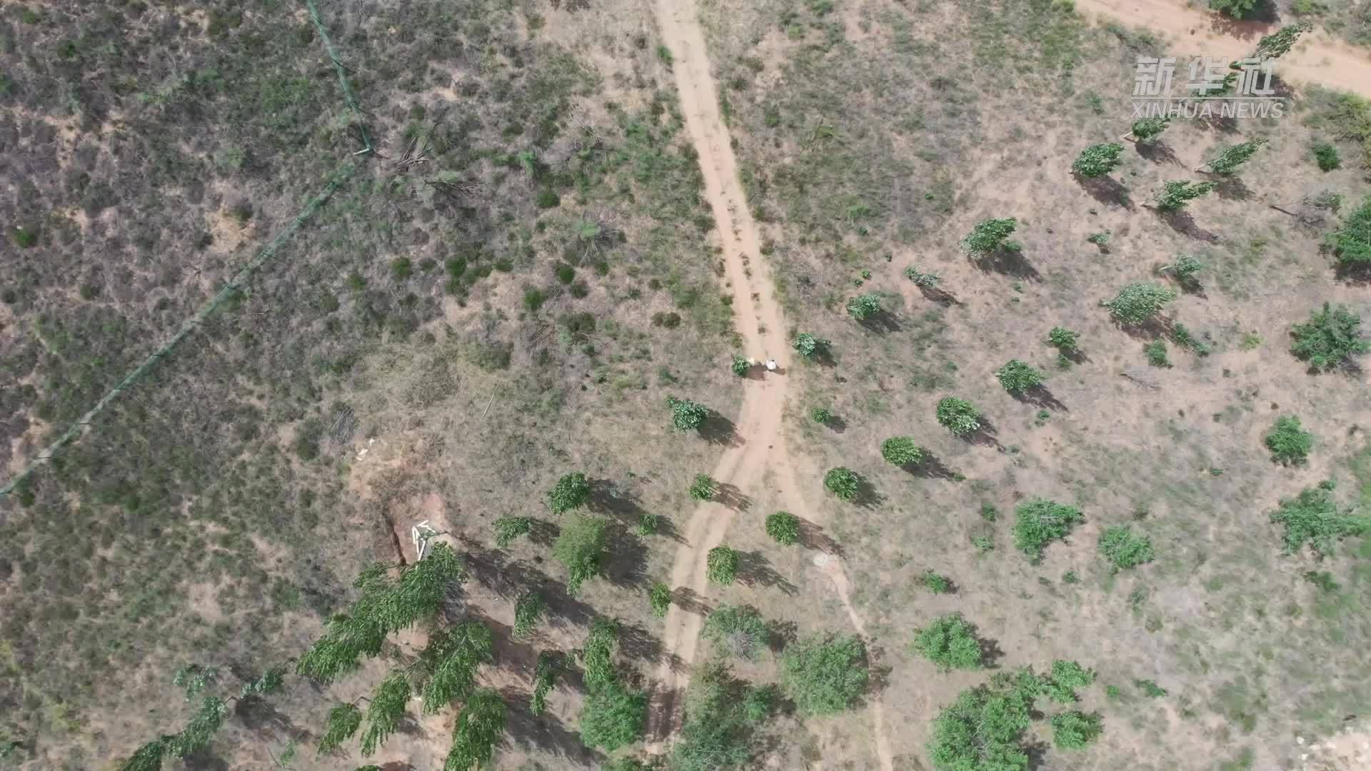 报效祖国 建功西部｜25年青春接力 他们把论文“种”在荒漠里