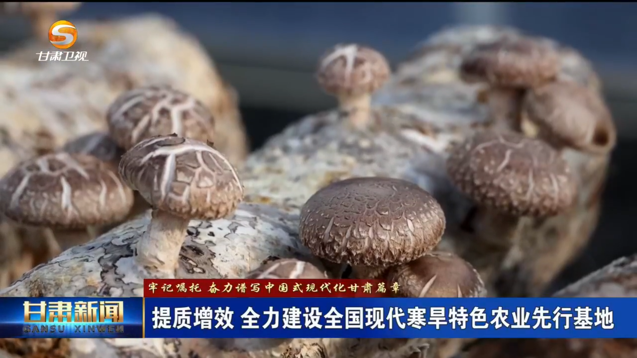 建设全国现代寒旱特色农业先行基地　甘肃这样干