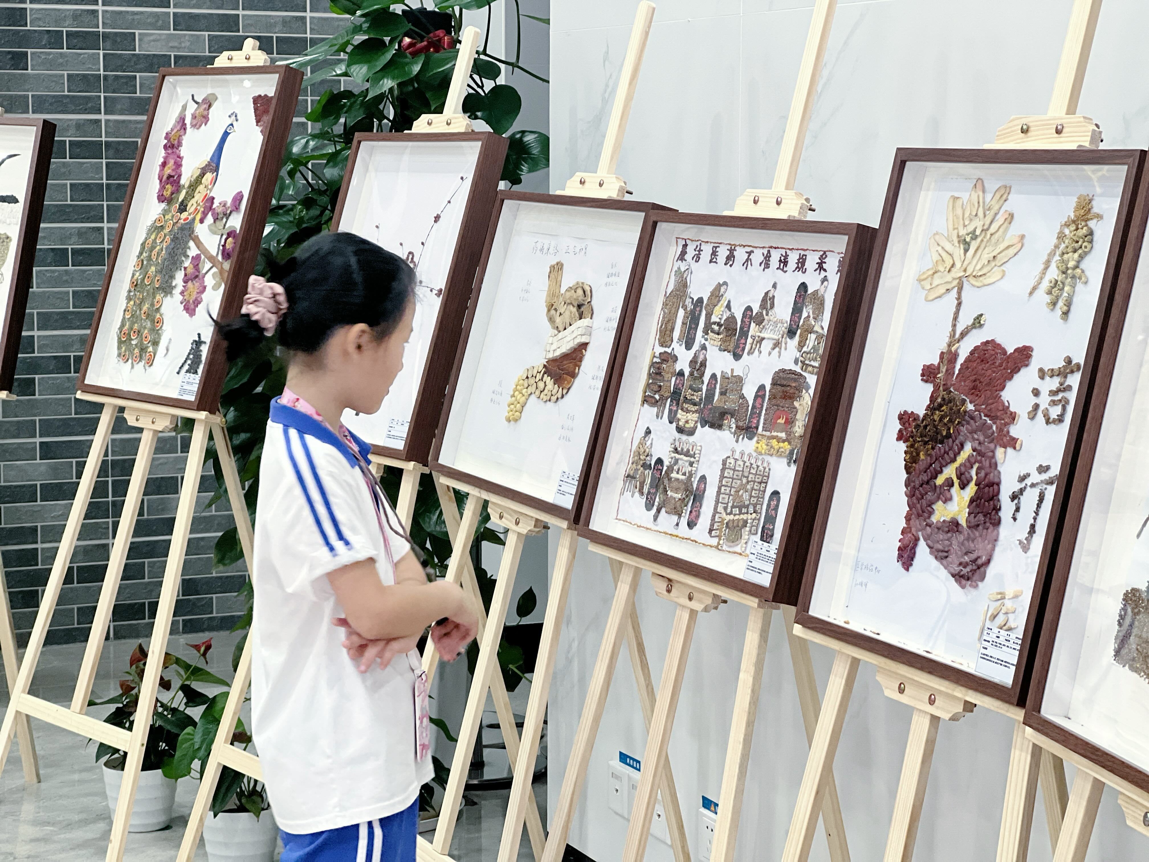 中草药变身“廉洁画”！深圳这家医院让廉政教育“活起来”