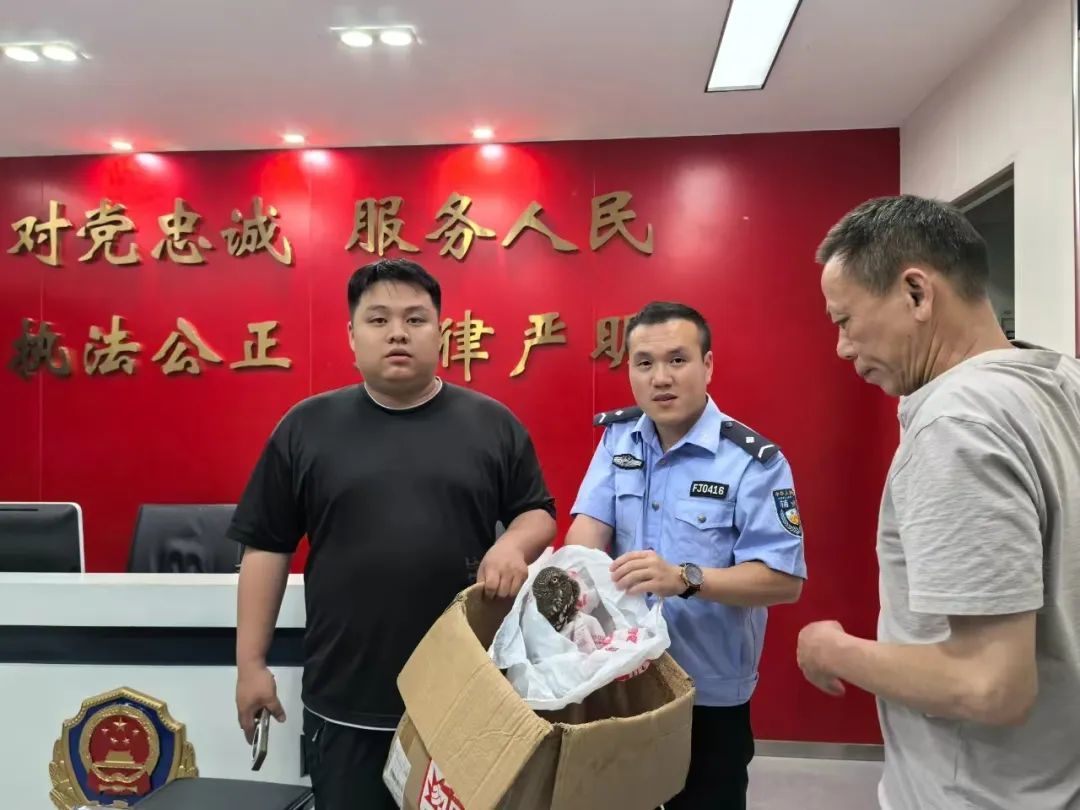 珍稀物種緣何頻現吉安？