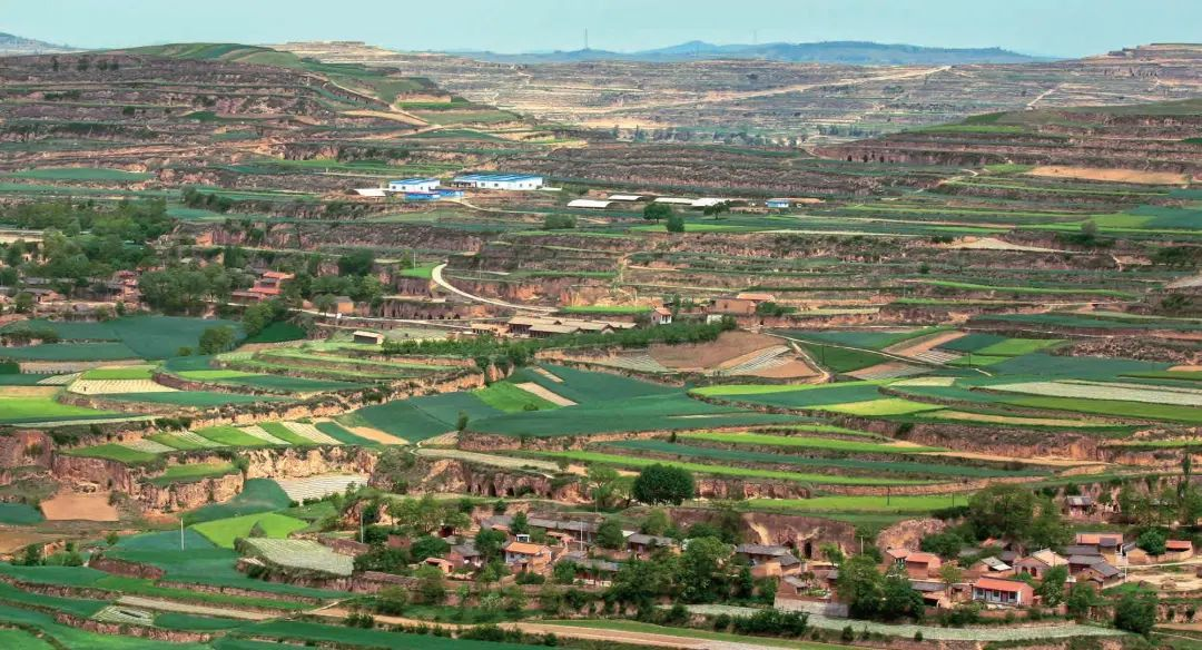 伏羲故里文脉绵长