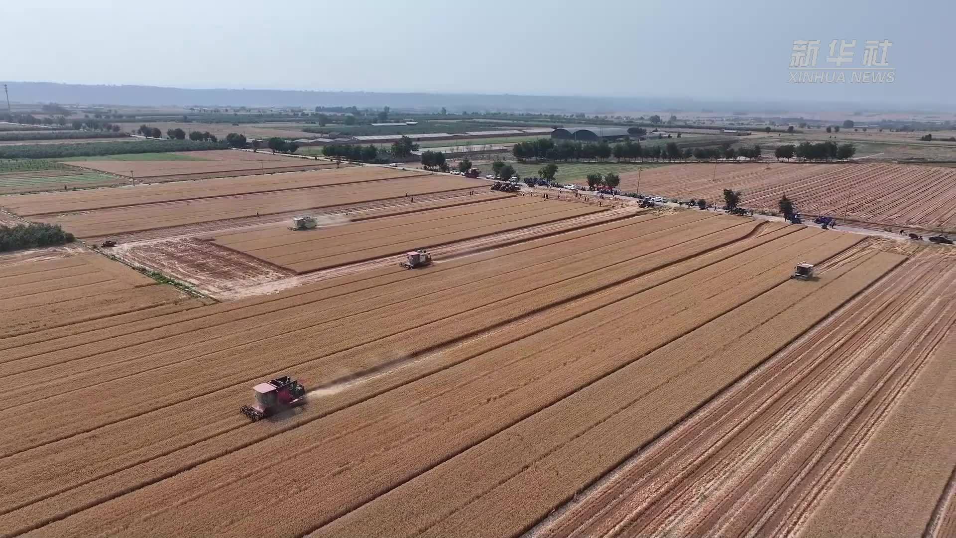 北斗导航无人驾驶收割机赋能夏收“加速度”