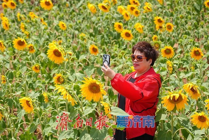 千年雄关花海盛放，古长城焕发新生机