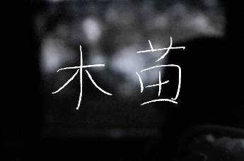 斯莫格公益影像奖入围影片之《木苗》