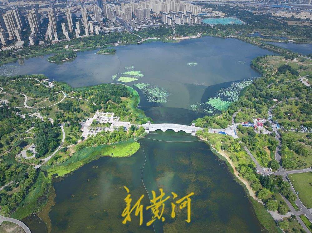 雨后华山湖云雾缭绕 翠柳点缀