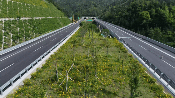 遂大高速即将通车！是“会呼吸的绿色长廊”
