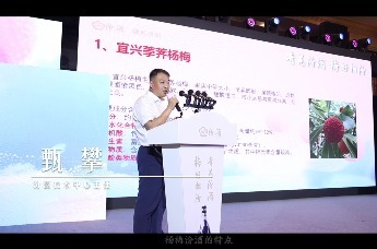 甄攀：黄金配比成就杨梅与汾酒的完美互补