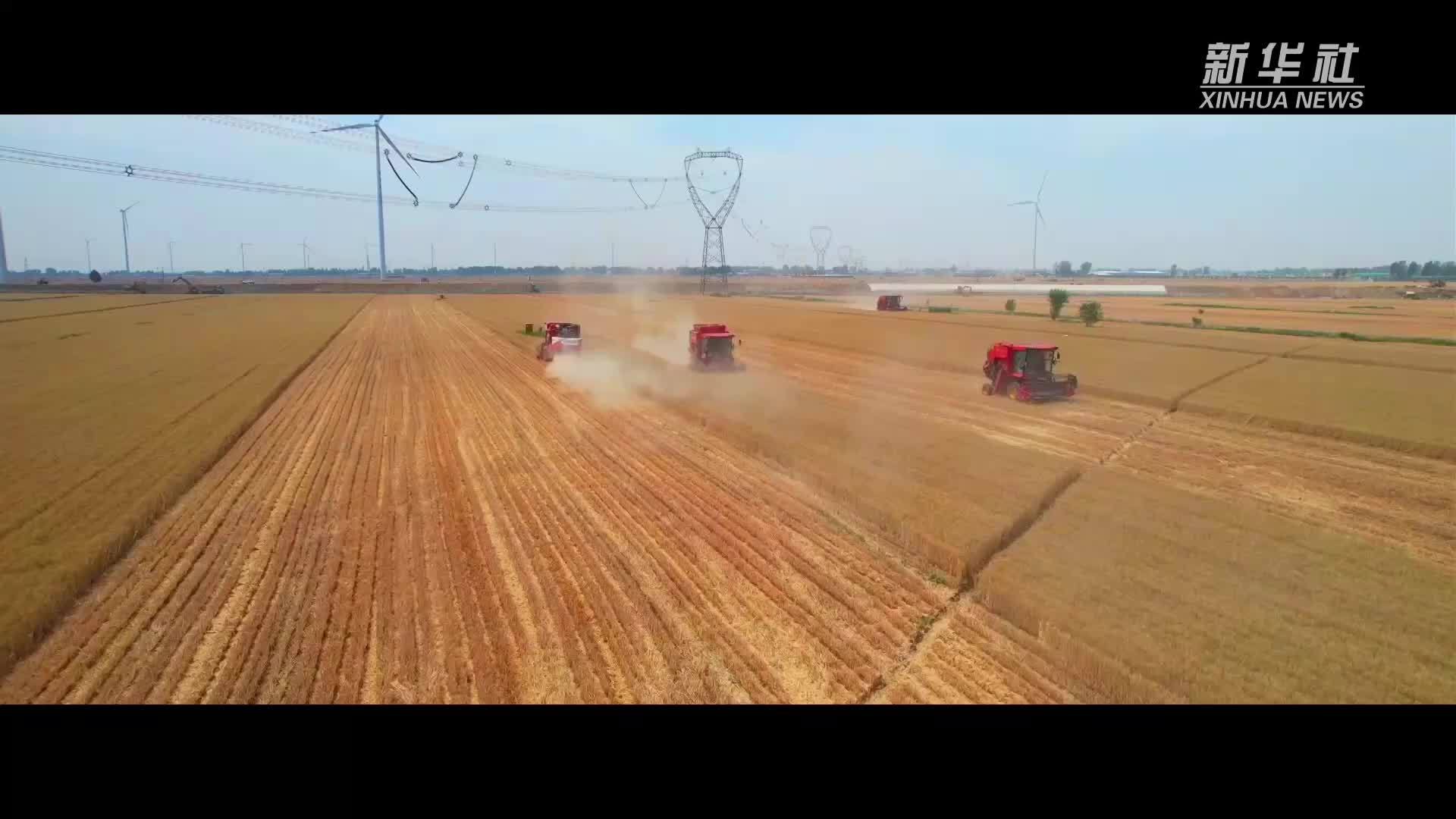 让更多“丰收在望”变成“丰收到手”——“三夏”机收减损一线观察