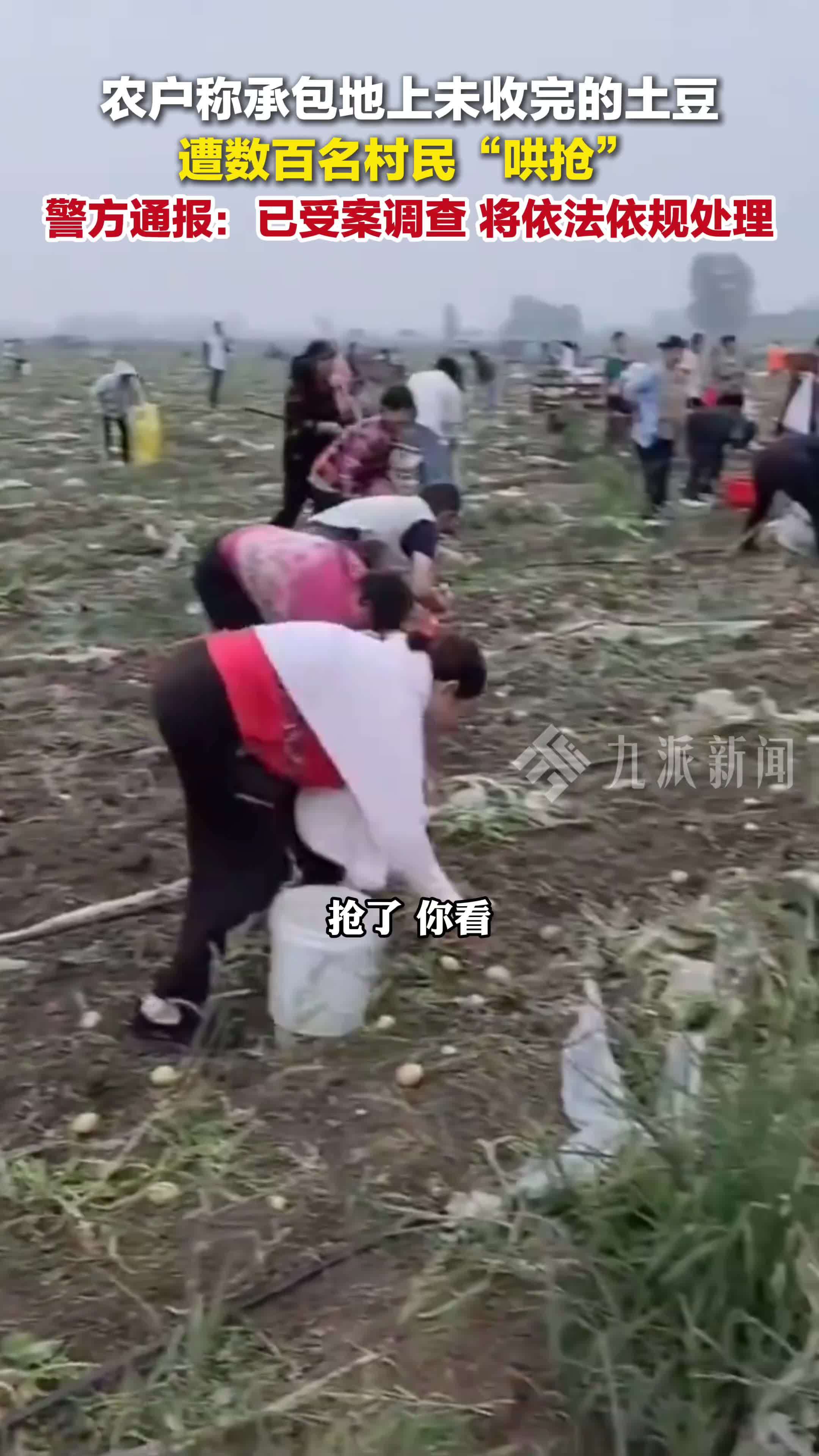 警方通报村民哄抢土豆：已受案调查，将依法依规处理