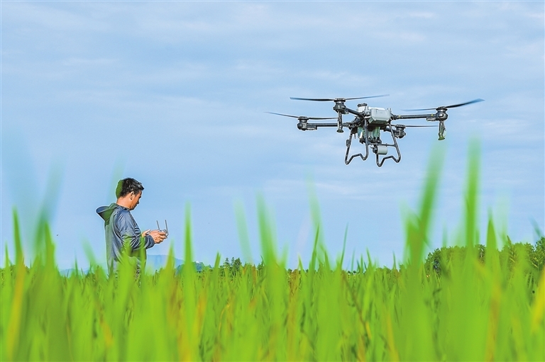 南丰县：无人机进行“飞防”作业（图）