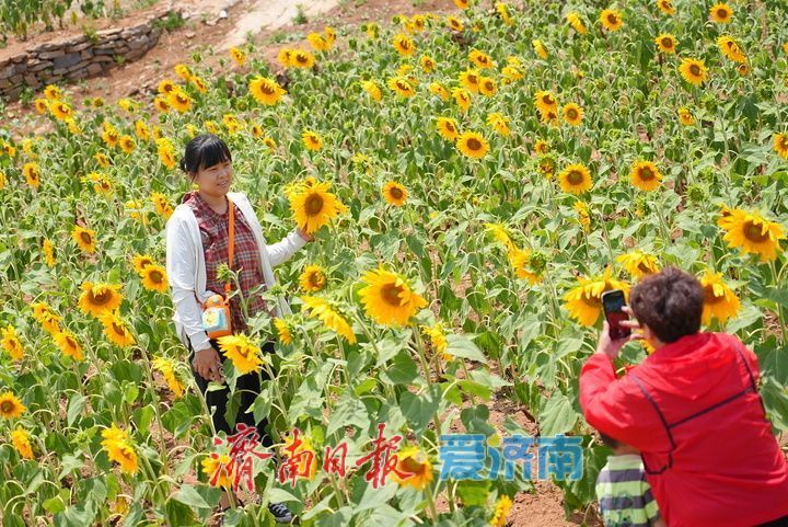 千年雄关花海盛放，古长城焕发新生机