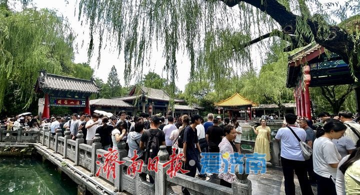 一年四季 泉在济南｜雨后趵突泉水位回升 泉水欢腾引游客