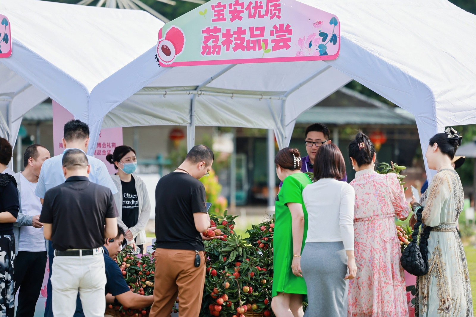 同心聚荔 侨动未来 宝安凝聚侨港澳力量助力“百千万工程”