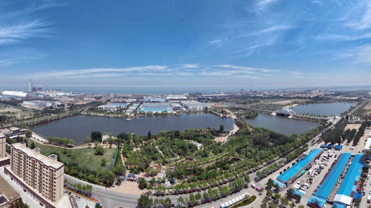 龙口市（道恩）新材料科技产业园