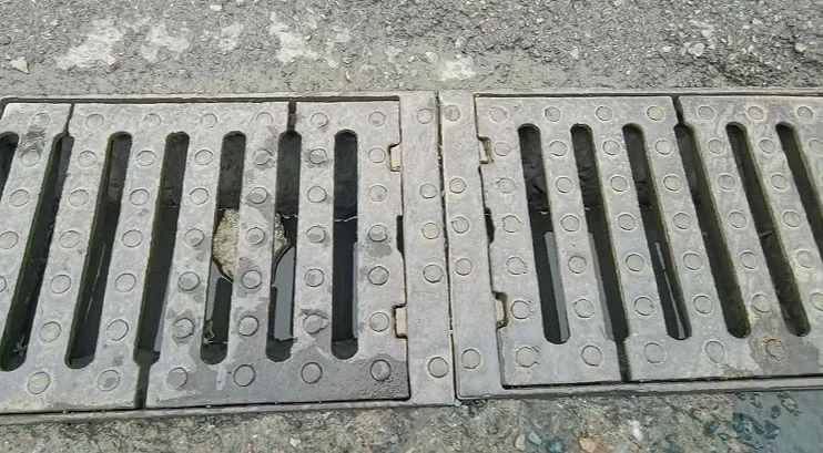 新余高新区水西镇耕地被流转后抛荒多年 镇政府回应