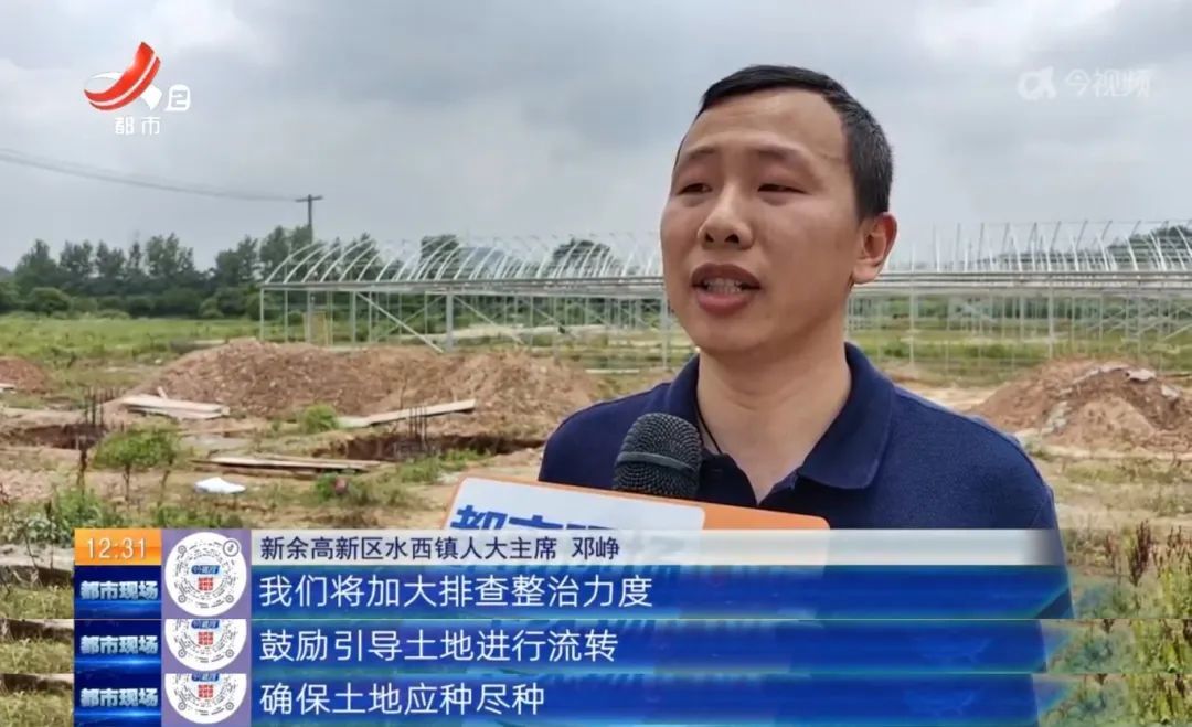 新余高新区水西镇耕地被流转后抛荒多年 镇政府回应