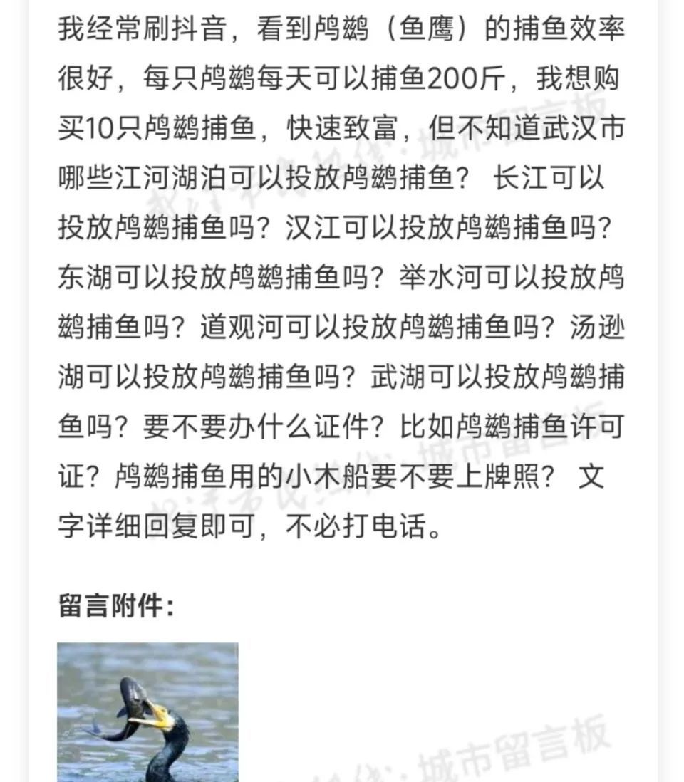 市民留言板提问。 图/留言截图